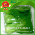 Organic Cultivated Vegetable fresh pakchoi cabbage